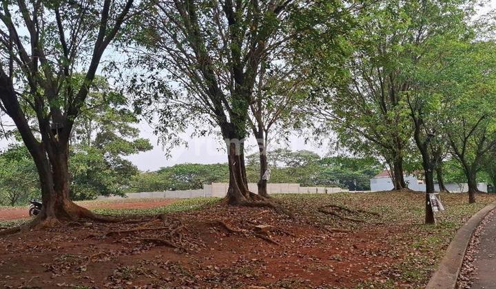 Kavling Dibawah NJOP 2025 Siap Bangun Boulevard Raffles Hills Cibubur