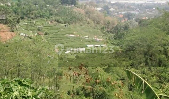 Kavling Di Tambakaji 1