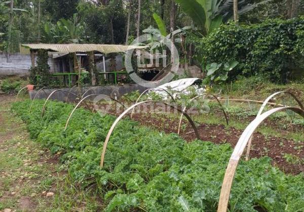 Plot in the Dusun Tawang area