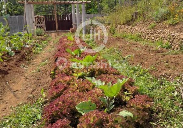 Plot in the Dusun Tawang area