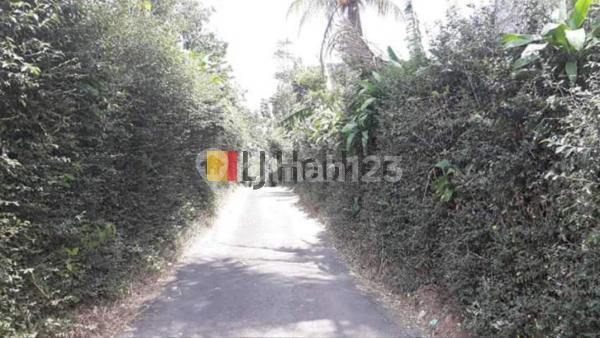 Tanah cocok untuk Perkebunan atau Peternakan 2