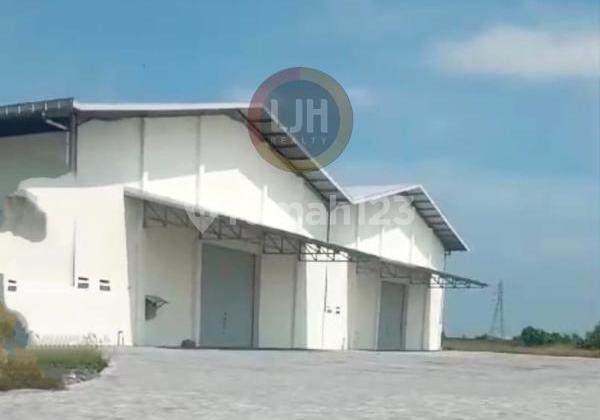 Gudang bagus di jalan raya Semarang - Demak Gudang bagus di jalan raya Semarang - Demak