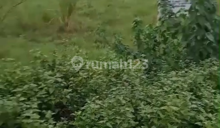 Tanah Murah di Setu Bekasi Cikarageman