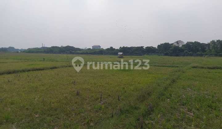 Cheap Land in Bekasi Cheap Land in Bekasi