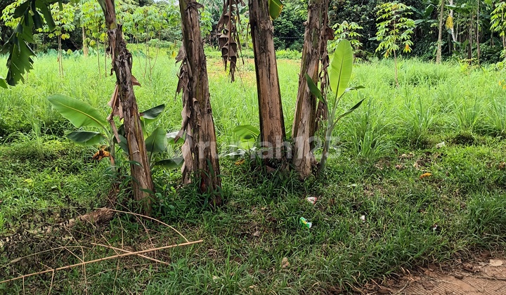 Cheap Land in Setu Bekasi West Java