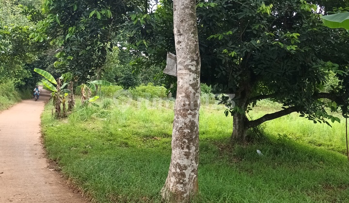 Cheap Land in Setu Bekasi West Java