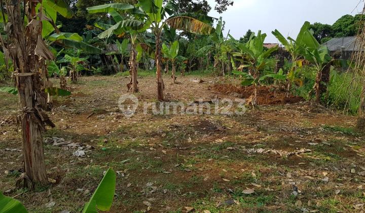 Cheap Land in Cigombong Bogor