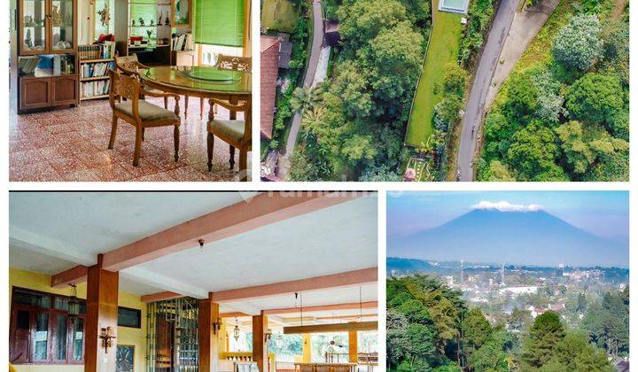 Villa Rapi Dan Luas Di Megamendung Bogor Lin 1