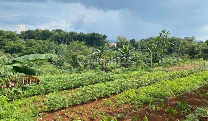 Dijual Tanah di Ciseeng Bogor Lokasi Strategis  1