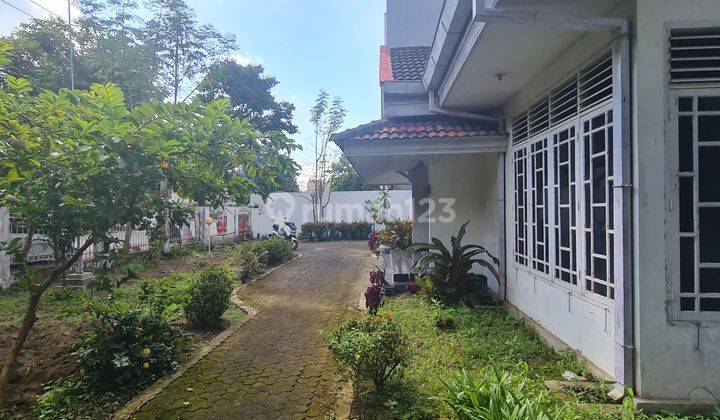 Rumah Sewa dengan pekarangan sangat luas di Pelita Raya 6