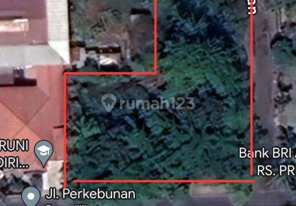 Tanah Murah bentuk L posisi sudut di Jl Perkebunan 1