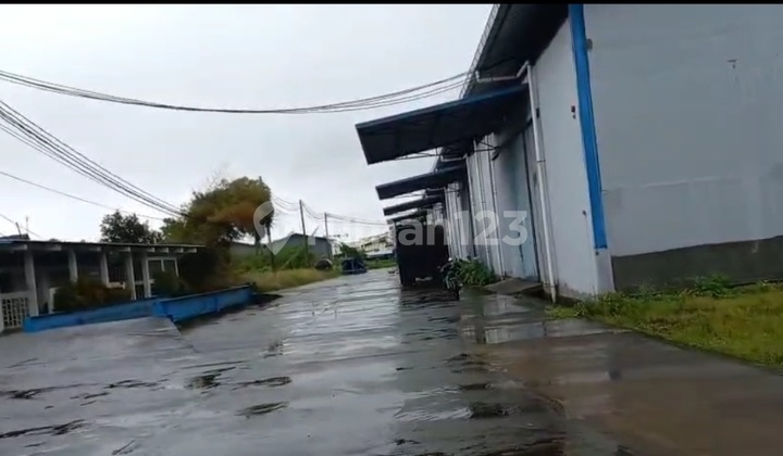 Cheap Land 1.3 Ha Wide on Pattene Main Road