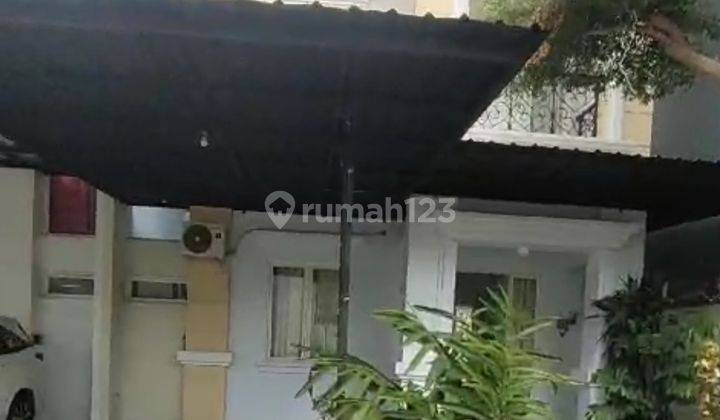 Rumah Sewa Murah.dgn Sebagian Perabot Di Raflesia Tanjung Bunga 1