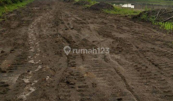Kavling di Daerah Kuripan 2