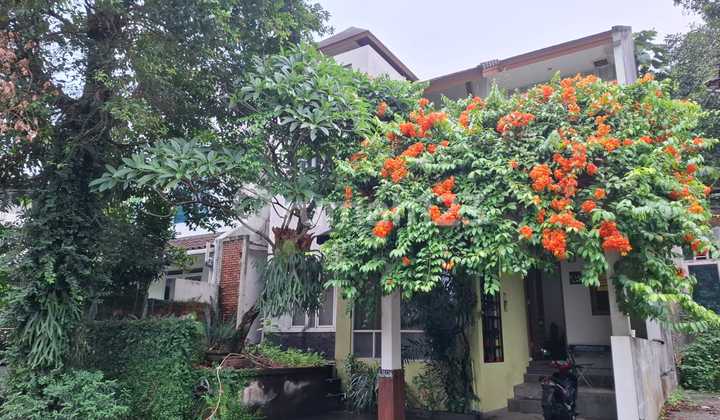 S M Property Rumah Taman Permata Lippo Karawaci Tangerang S M Property Rumah Taman Permata Lippo Karawaci Tangerang