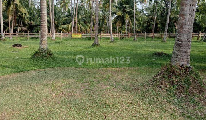 S M Property Tanah Anyar Serang Banten  1