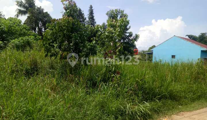 S M Property Tanah Pangkal Lalang Tanjung Pandan Bangka Belitung 1