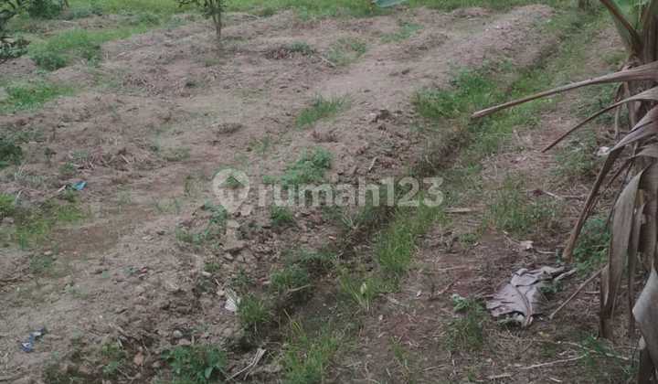 Tanah dekat ke JL.  Bypass  Padang 3,1 Ha 31.000 M2 Harga 1,4 jt /m2 , SHM 