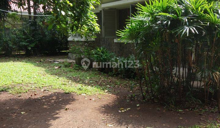 Rumah Lama Menteng Hitung Tanah 2130 M2 Harga .50 Jt m2  1