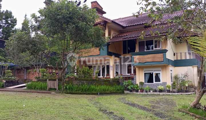 Sell Fast 11-Bedroom Villa in Cisarua Area