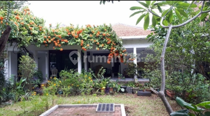 Jual Cepat Rumah 4 Kamar Daerah Kemang Jual Cepat Rumah 4 Kamar Daerah Kemang