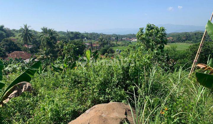 Tanah Pasir Danau Sawah Mata Air di Cibinong Hill Cianjur Jabar 1