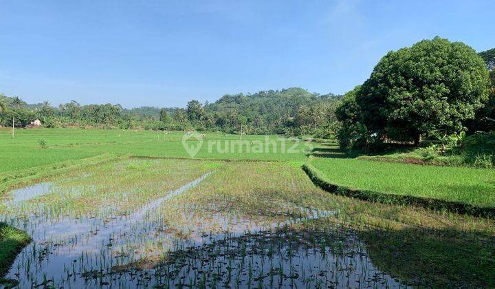 Tanah Pasir Danau Sawah Mata Air di Cibinong Hill Cianjur Jabar 2