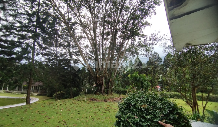 Tanah Puncak Jual Cepat