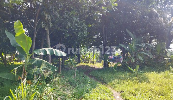 Tanah Premium Dekat Sentul City