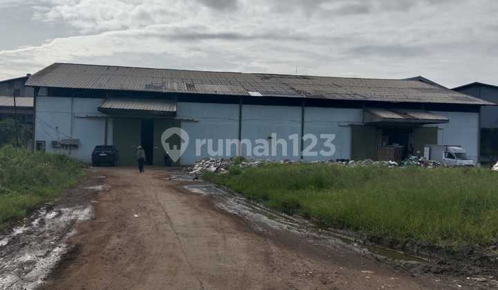 Gudang Kapuk Gudang Kapuk