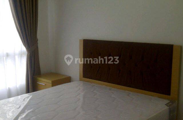 Apt. Scientia Gading Serpong Lt. 16, Furnish, 1 Kamar Tidur 5