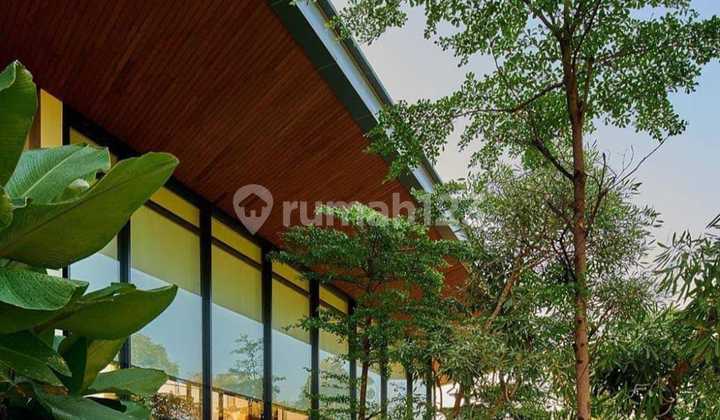 Rumah Bintaro Cocok Untuk Gedung Atau Perumahan. Rumah Bintaro Cocok Untuk Gedung Atau Perumahan.