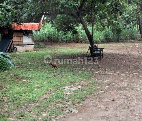 Tanah Di Cirendue Cocok Untuk Town House Jalan Lebar. 1