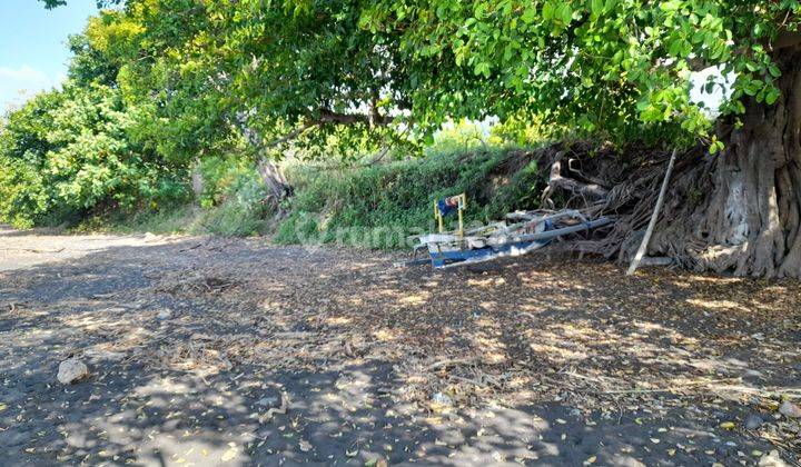 Tanah Murah Los Pantai Cocok Untuk Tambak 2