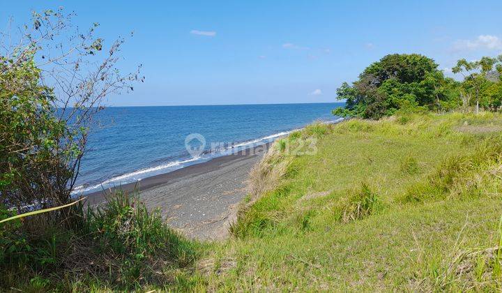 Tanah Murah Los Pantai Cocok Untuk Tambak 1