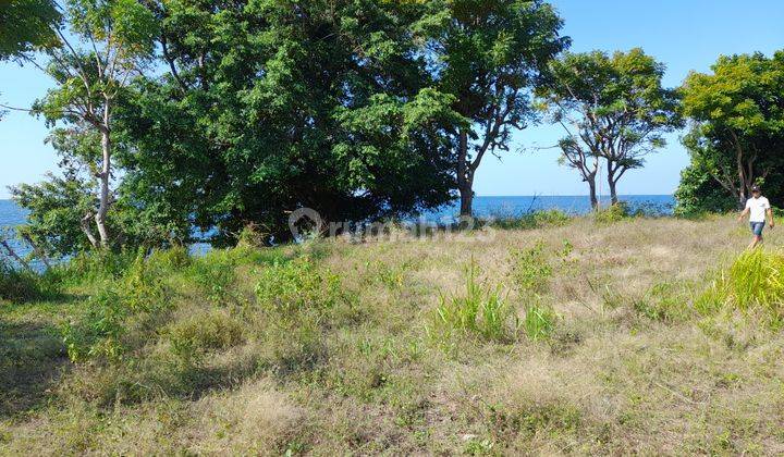 Tanah Murah Los Pantai Cocok Untuk Tambak 5