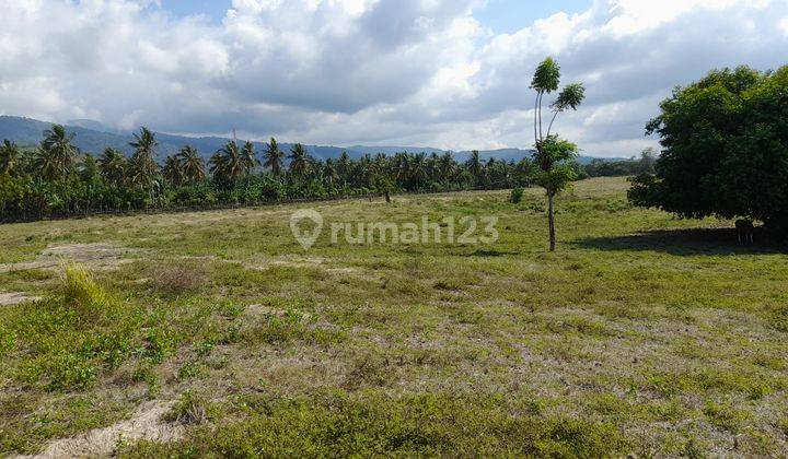 Tanah Murah Los Pantai Cocok Untuk Tambak 6