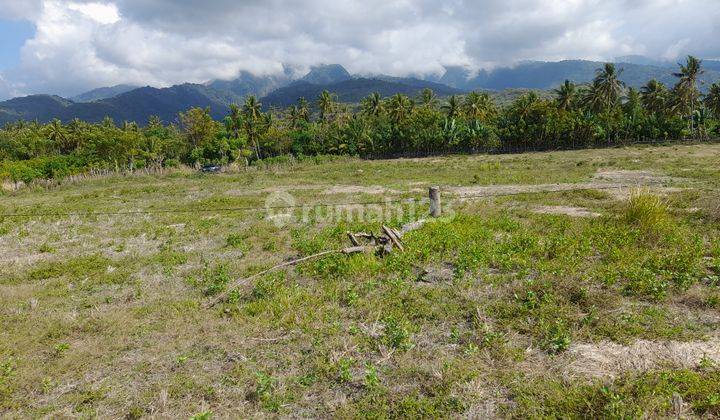 Tanah Murah Los Pantai Cocok Untuk Tambak 7