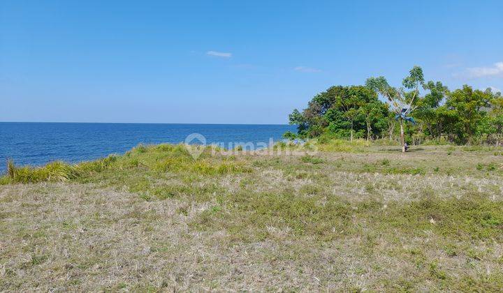 Tanah Murah Los Pantai Cocok Untuk Tambak 8