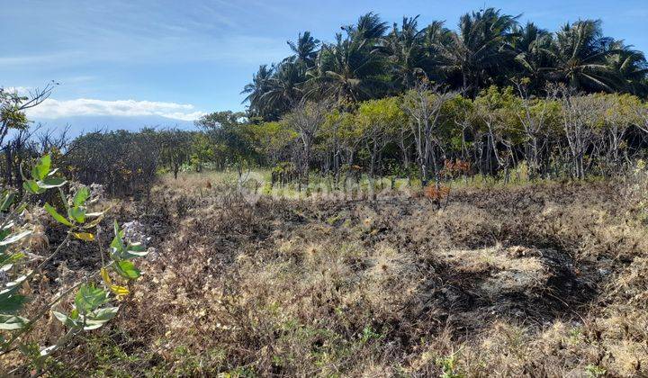 Tanah Murah Los Pantai di Pringgabaya Lombok 2