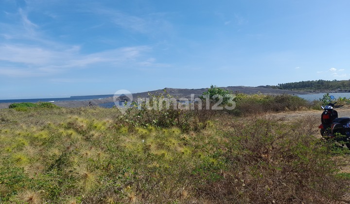 Tanah Murah Los Pantai di Pringgabaya Lombok 3