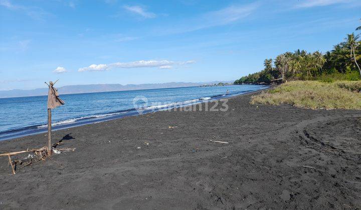 Tanah Murah Los Pantai di Pringgabaya Lombok 4