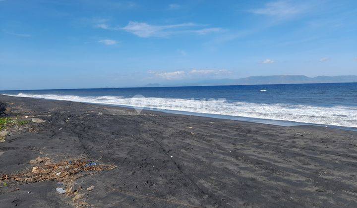 Tanah Murah Los Pantai di Pringgabaya Lombok 7