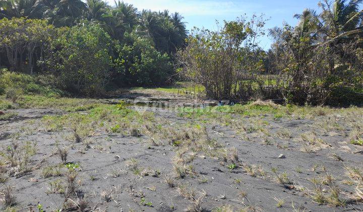 Tanah Murah Los Pantai di Pringgabaya Lombok 8