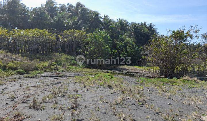Tanah Murah Los Pantai di Pringgabaya Lombok 10