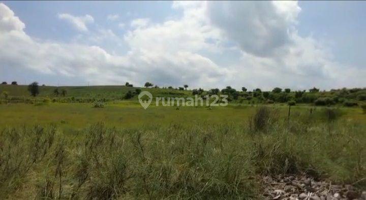Tanah Murah Los Pantai Pink Lombok
