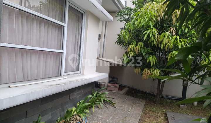 Dijual Rumah Asri Dan Nyaman Di Jalan Elang 1
