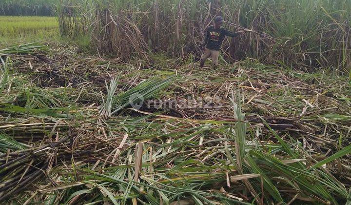 tanah komersial didlangu gongang mojoketo murah 2