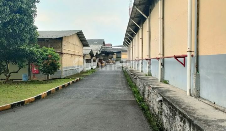 Disewakan Gudang Di Citeureup Bogor, Lokasi Bagus Dan Strategis, Akses Mudah, Bisa Container, Gudang Bagus, Dekat Tol