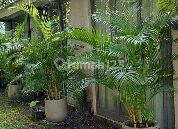 Rumah Dijual Ozone Bintaro Cluster Turun Harga